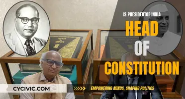 Who is the True Head of India's Constitution?
