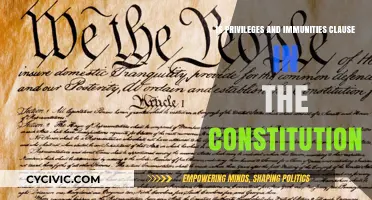 Understanding the Constitution's Privileges and Immunities Clause