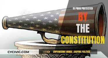 Porn's Constitutional Protection: Free Speech or Criminal Act?