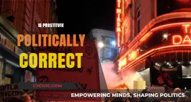 Exploring the Evolution of Language: Is 'Prostitute' Politically Correct?