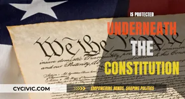 The Constitution's Protective Shield: What's Covered?