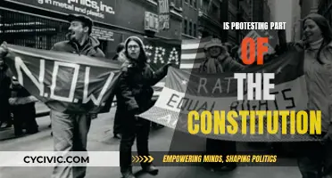 Protesting: A Constitutional Right or Not?