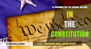 General Welfare: What the Constitution Really Provides for Americans