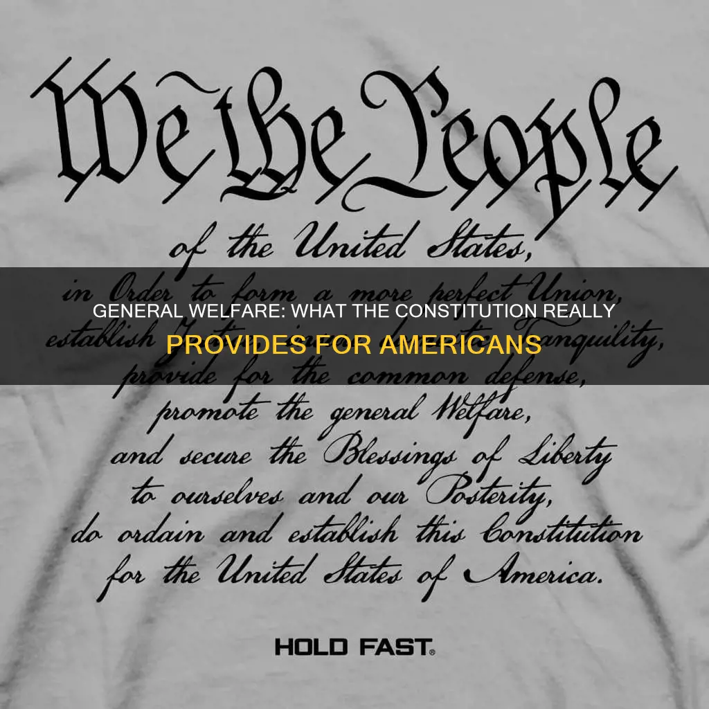 is providing for the general welfare in the constitution