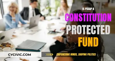 PSSAP: A Constitutionally Protected Fund?
