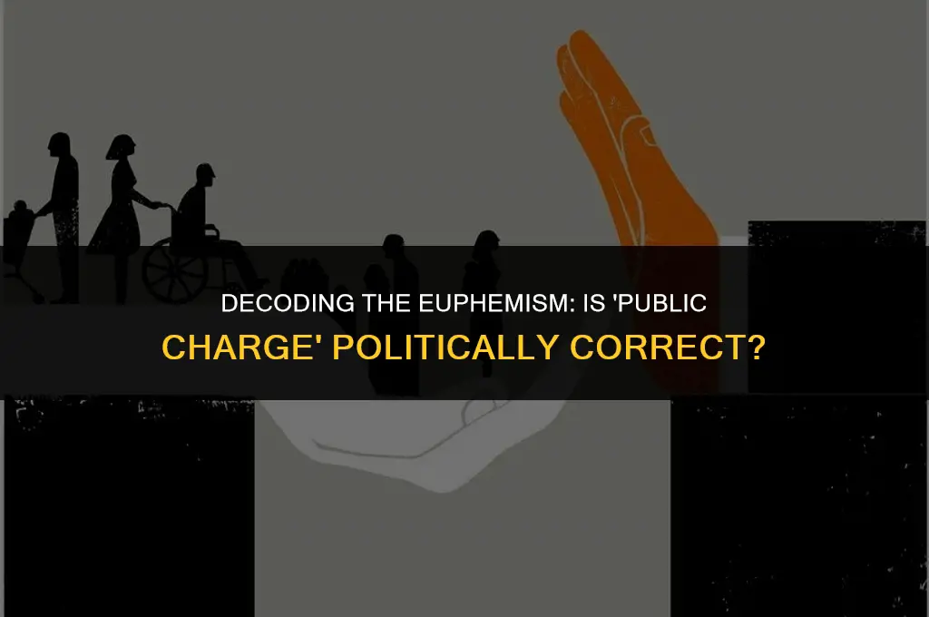 is public charge a politically correct term
