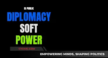 Public Diplomacy: Soft Power's Sharp Edge