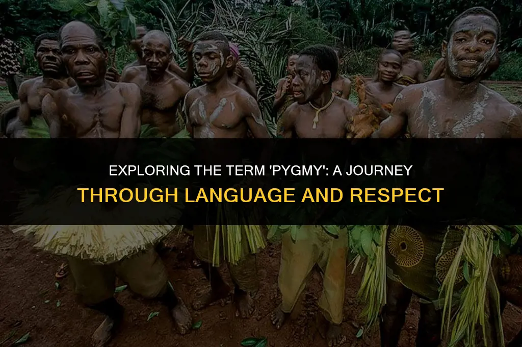 is pygmy politically correct