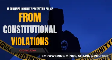 Police Immunity: Protecting or Violating Constitutional Rights?