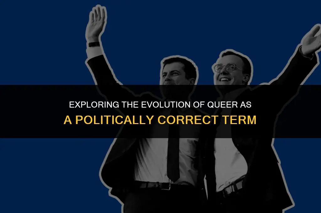 is queer politically correct