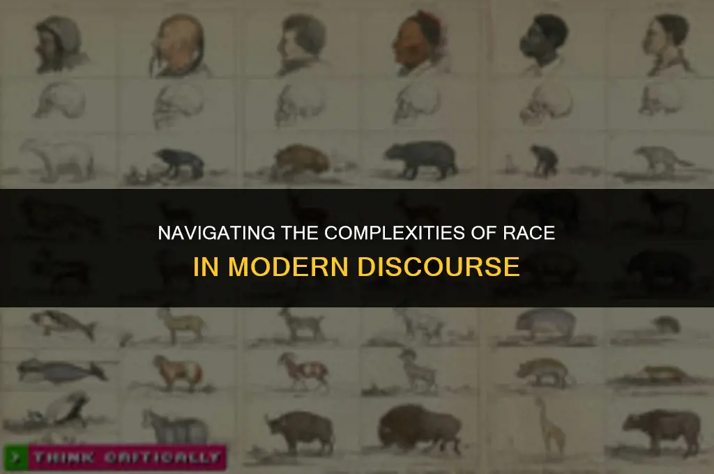is race politically correct