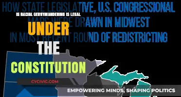 Racial Gerrymandering: Constitutional or Not?