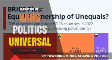 The Universality of Right and Left Wing Politics: A Global Perspective