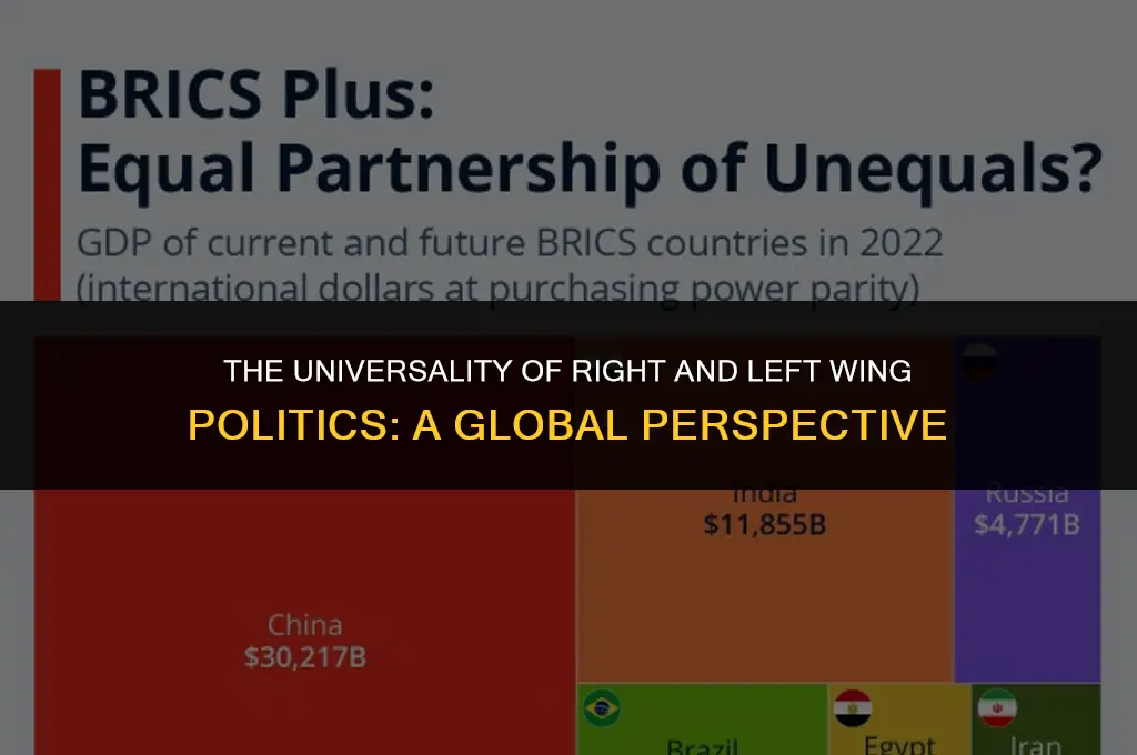 is right and left wing politics universal