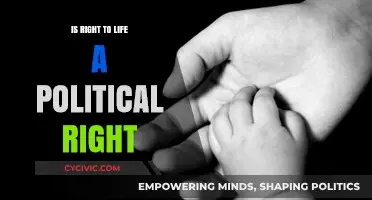 Exploring the Complexities: Is Right to Life a Political Right?