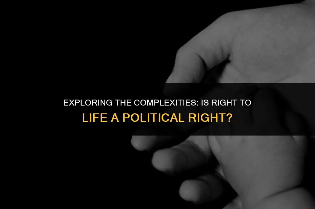 is right to life a political right