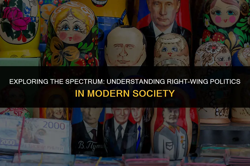 is right wing politics