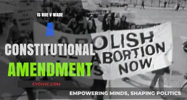 Roe v. Wade: A Constitutional Amendment or Not?