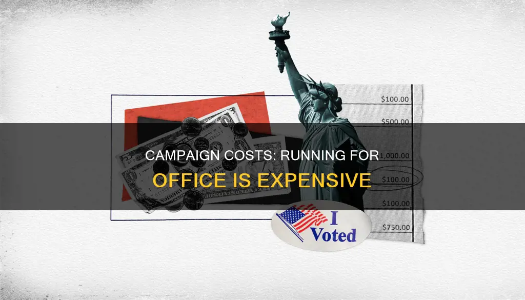 is running a political campaign expensice