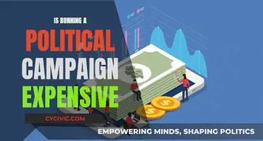 Running for Office: Is It Expensive to Campaign?