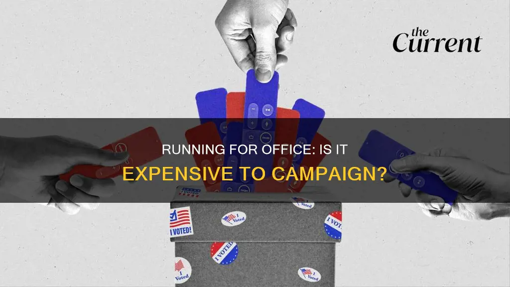 is running a political campaign expensive