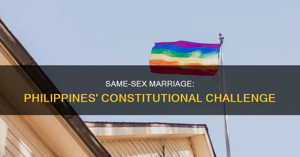 is same sex marriage constitutional in the philippines