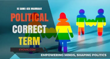 Exploring the Evolution of Language: 'Same-Sex Marriage' vs. 'Political Correctness