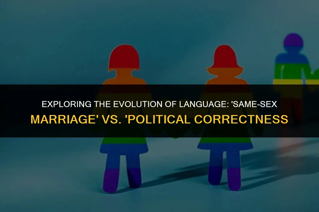 is same-sex marriage political correct term
