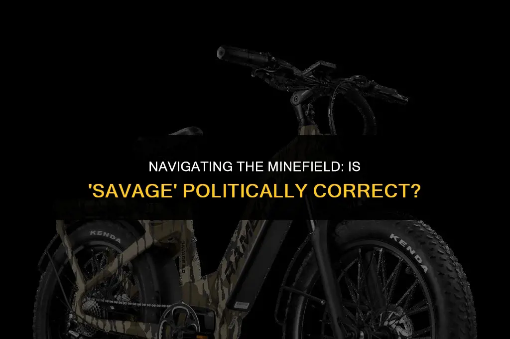 is savage politically correct