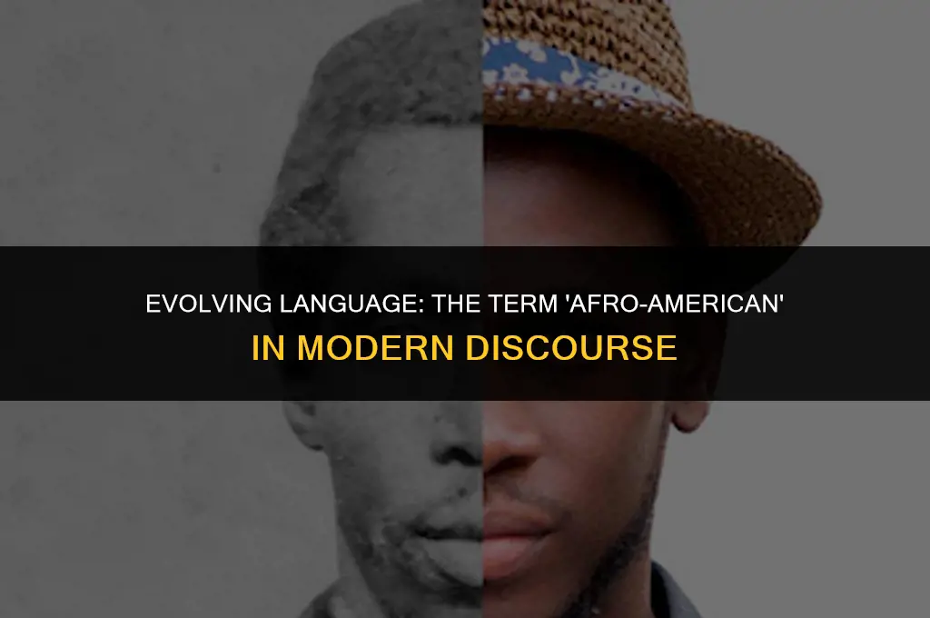 is saying afro american politically correct