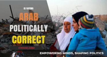 Navigating Political Correctness: The Nuances of Using 'Arab