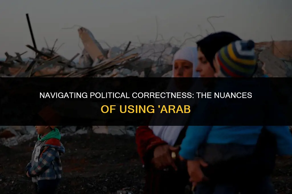 is saying arab politically correct