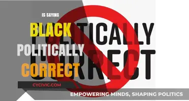Navigating Political Correctness: The Nuances of Language and Race