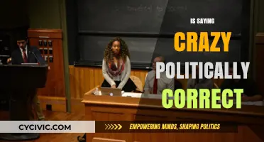 Navigating the Minefield: Political Correctness and the 'Crazy' Conversation