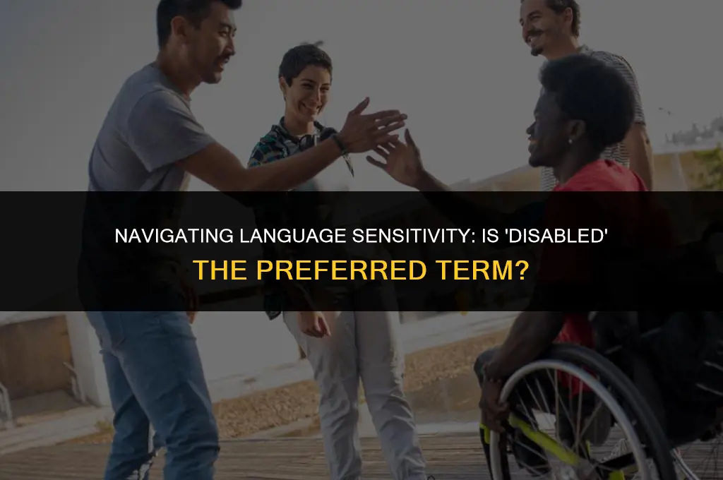 is saying disabled politically correct
