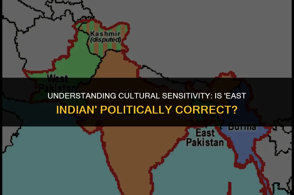 is saying east indian politically correct