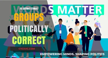 Navigating Political Correctness: A Guide to Inclusive Language for Ethnic Groups