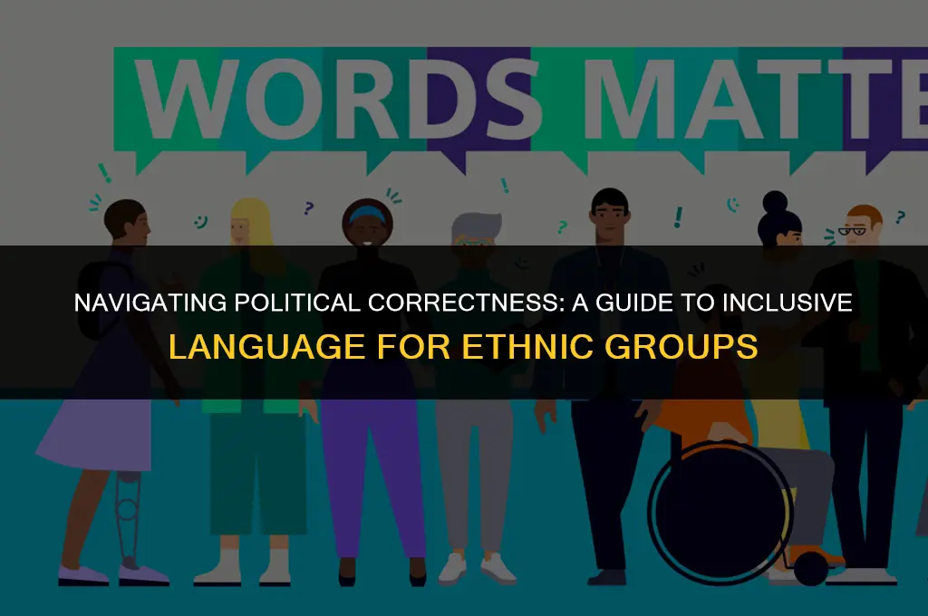 is saying ethnic groups politically correct