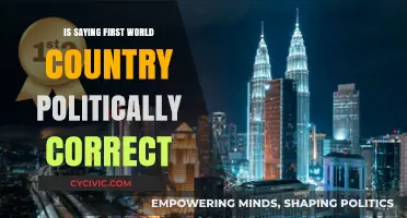 Navigating Political Correctness: The 'First World Country' Debate