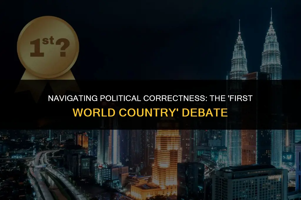 is saying first world country politically correct