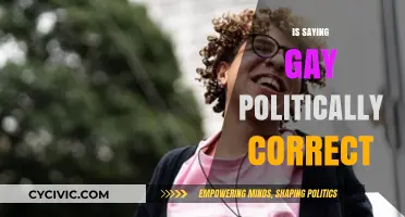 Exploring the Evolution of Language: Is 'Gay' the Preferred Term?