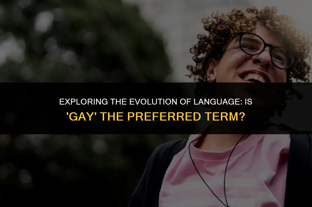is saying gay politically correct