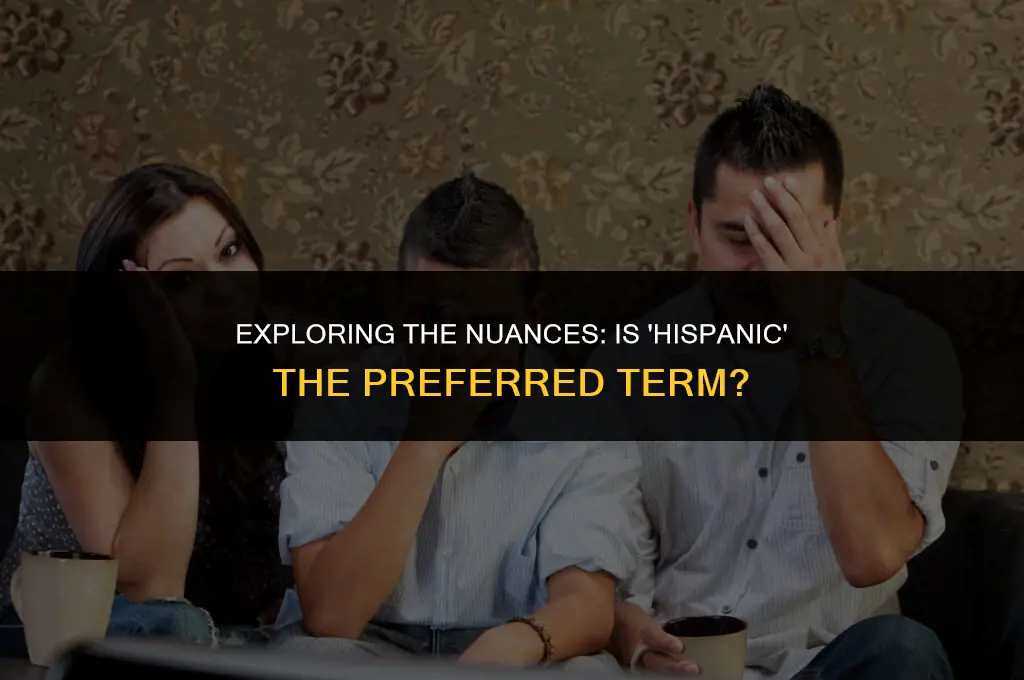 is saying hispanic politically correct