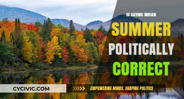 Exploring the Sensitivity: Is 'Indian Summer' Politically Correct?