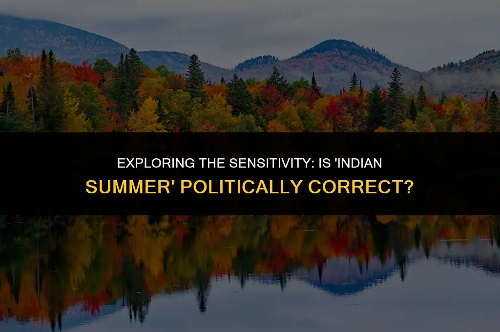 is saying indian summer politically correct
