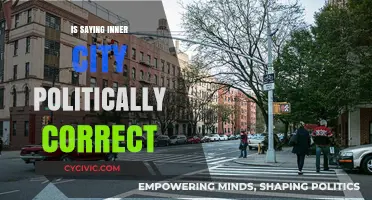 Exploring the Nuances of 'Inner City': A Political Correctness Debate