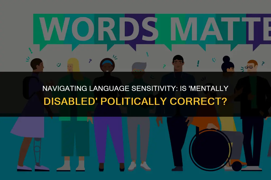 is saying mentally disabled politically correct