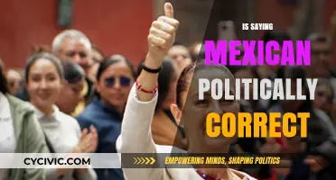 Exploring the Nuances of Political Correctness: The Case of 'Mexican
