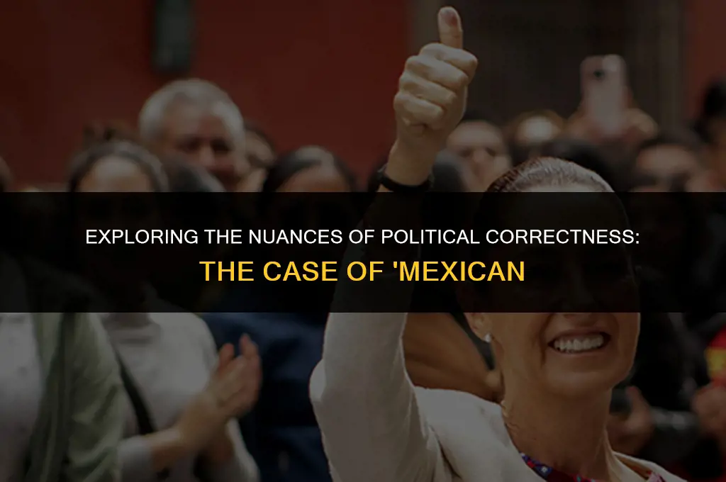 is saying mexican politically correct