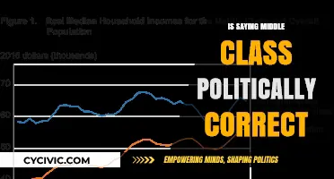 Is 'Middle Class' Still Politically Correct? A Linguistic Analysis